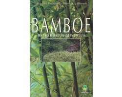 Bamboe