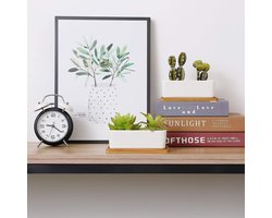 Bamboe Onderschotel 16 cm - Set van 6 rechthoekige Dienbladen - Geschikt voor vetplanten - Houten Decoratie - Duurzaam materiaal - Lichte kleur