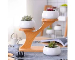 Bamboe Plantenstandaard 2-Laags – Plantenrek Binnen – Duurzame Plantentafel – Compact & Stijlvol – Houten Plant Shelf