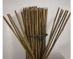 Bamboe Stokken - Klimhulp Planten - Tuinondersteuning - Natuurlijk Robuust Materiaal - 150 cm 8-10 mm - Bruin Geel