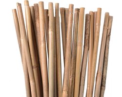 Bamboe Stokken - Plantenondersteuning - Planten Steunen - Natuurlijk Milieuvriendelijk - 50 Stuks 100cm - Bruin Geel