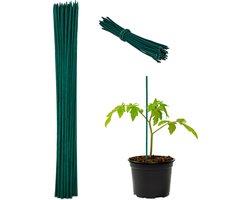 Bamboe stokken set van 50 - 30 cm - met binddraad - kamerplanten - tuin