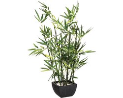 Bamboeplant - (H)70 cm - Incl. zwarte pot