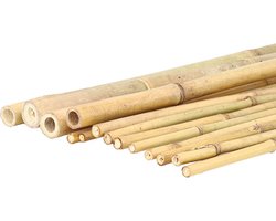 Bamboestok 200 cm voor tuin en interieurdecoratie - Flexibel en duurzaam