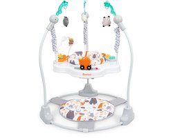 Baninni Baby Jumper Salta Grijs