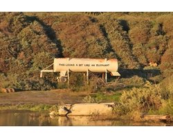 BANKSY This Looks a bit Like an Elephant Watertank Canvas Print