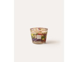 Baobab Collection Provence Max 10 Luxe Geurkaars