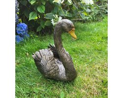 Baroque - Decoratief beeld of figuur - Swan resin 31 cm - 31x32x20.5 - polyresin