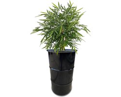 Barrelkings- Buiten Plantenbak-Bloembak-Tuin Bloembak 120 Liter-  zwart industrieel olievat - met plastic kuip 40 Liter