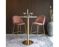 Barstoel Roze - Goud frame - 60x55x108cm - Set van 2