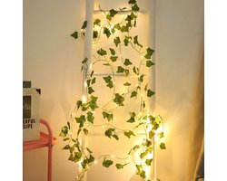 Batterijgevoede lichtslinger, 5 meter (ongeveer 5 meter) met 50 led-klimoplampjes en afstandsbediening, bladverlichting voor slaapkamer, kamer, muur, tuin, feest, bruiloftsdecoratie (warm wit)
