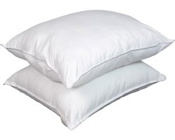 Beau Maison Budget Hoofdkussen - Holle Vezel - Per 2 stuks - 60x70 cm