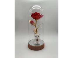 Beauty and the Beast Zijde Roos in Glas Stolp Rose Kunstroos Valentijn - Cadeau voor Vrouw - Vriendin - Mama - Oma - Valentijnsdag - Belle en het Beest - Glazen - Multicolor - 22CM