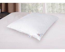 Bed Glow & Apparel – Luxe Hoofdkussen 60x70 cm – 220 GSM Flexofill Polyester Vezel – Ademende Katoenen Tijk – OEKO-TEX® Gecertificeerd