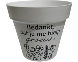 Bedankje Juf of Meester Bloempot met Bloemzaad en Potgrond 16 cm – Afscheidscadeau Leerkracht – “Bedankt dat u me liet groeien”