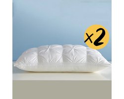 Bedkussens 2 Pack Hotel Kwaliteit Kussens, Holle Fiber Standaard Kussens, Ultra Zacht Kussen Geschikt voor Rug en Zijslapers Lichaamskussen Set Slaapkussen, Wit, 48 x 70 cm (900 g)