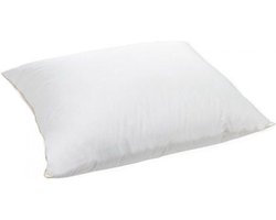 Bedworld hoofdkussen de Luxe