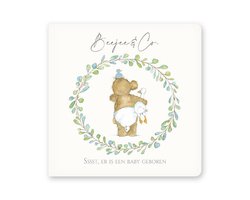 BeeJee & Co. | Sssst, er is een baby geboren | Peuterboek