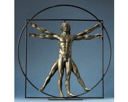 Beeld de man van Vitruvius