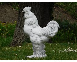 Beeld Haan - vol steen