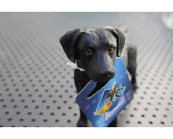 beeld labrador