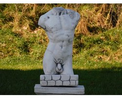Beeld Mannelijke Torso - 57 cm - Steen