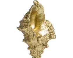 Beeld | Shell | polyresin | 13x12x36cm
