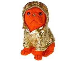 Beeld & Spaarpot Piloot Hond