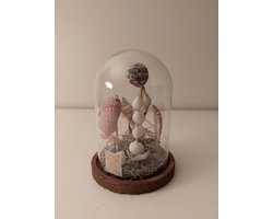 Beeldige stolp met schelpen 18cm