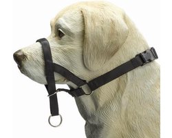 Beeztees Dog Control - Halsband Hond - Zwart - M - Snuitomtrek 32 cm