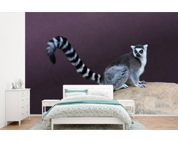 Behang - Fotobehang Aap - Ringstaartmaki - Steen - Breedte 330 cm x hoogte 220 cm
