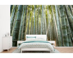 Behang - Fotobehang Bamboe - Natuur - Japan - Breedte 360 cm x hoogte 240 cm