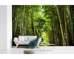 Behang - Fotobehang Bamboe plant - Licht - Bladeren - Breedte 420 cm x hoogte 280 cm