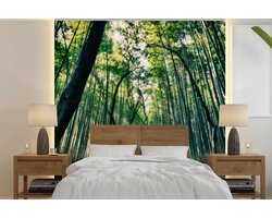 Behang - Fotobehang Bamboebos in Arashiyama in Japan - Breedte 220 cm x hoogte 220 cm