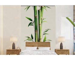 Behang - Fotobehang Bamboestengels - Sierlijk - Groen - Breedte 200 cm x hoogte 300 cm