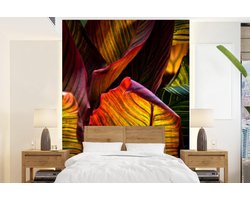 Behang - Fotobehang Bladeren - Abstract - Kleuren - Breedte 195 cm x hoogte 260 cm
