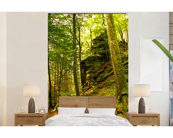 Behang - Fotobehang Bomen - Steen - Bos - Natuur - Planten - Breedte 170 cm x hoogte 260 cm