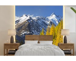Behang - Fotobehang Bomen voor de Großglockner berg in Oostenrijk - Breedte 220 cm x hoogte 220 cm