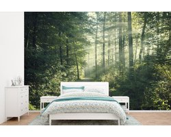 Behang - Fotobehang Bos - Licht - Pad - Breedte 600 cm x hoogte 400 cm