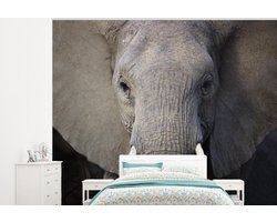 Behang - Fotobehang Close-up van een olifant - Breedte 325 cm x hoogte 260 cm