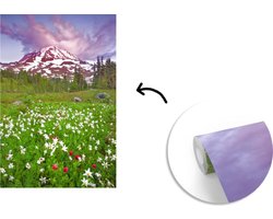 Behang - Fotobehang De bloemen onder een kleurrijke lucht in het Nationaal park Mount Rainier - Breedte 190 cm x hoogte 280 cm
