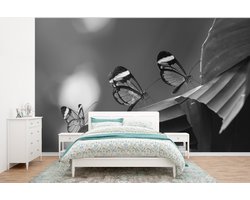 Behang - Fotobehang Doorzichtige vlinder op een blad in Costa Rica in zwart wit - Breedte 295 cm x hoogte 220 cm