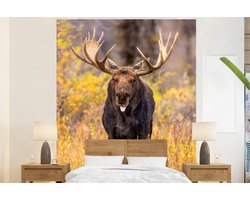 Behang - Fotobehang Eland die tong uitsteekt - Breedte 210 cm x hoogte 260 cm