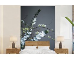 Behang - Fotobehang Eucalyptustakken zichtbaar op een grijze achtergrond - Breedte 155 cm x hoogte 240 cm