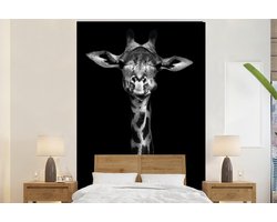 Behang - Fotobehang Giraffe - Portret - Dieren - Zwart - Wit - Breedte 225 cm x hoogte 350 cm