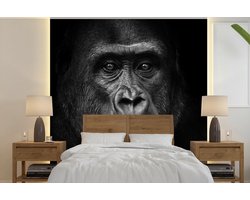 Behang - Fotobehang Gorilla - Zwart - Wit - Dieren - Portret - Breedte 280 cm x hoogte 280 cm