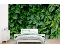 Behang - Fotobehang Groene bladeren - Breedte 360 cm x hoogte 240 cm