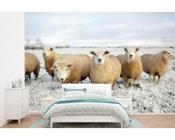Behang - Fotobehang Groep nieuwsgierige schapen - Breedte 330 cm x hoogte 220 cm