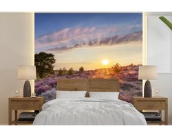 Behang - Fotobehang Heide bij zonsondergang - Breedte 260 cm x hoogte 260 cm