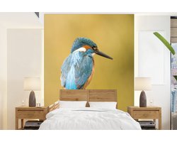 Behang - Fotobehang Hout - IJsvogel - Dieren - Breedte 160 cm x hoogte 220 cm